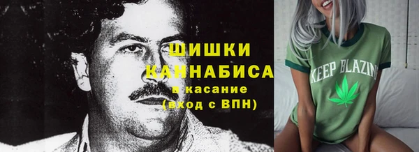прущие крисы Киренск