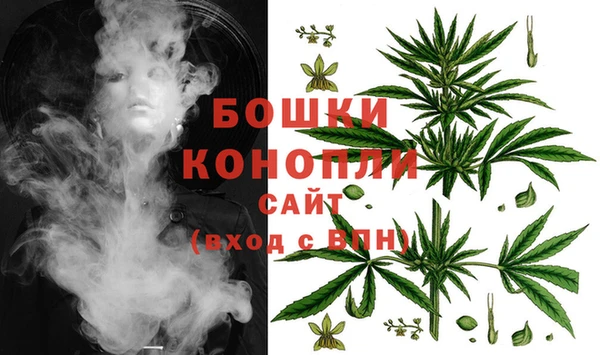 прущие крисы Киренск