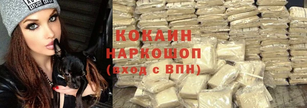 прущие крисы Киренск